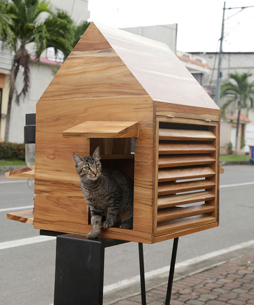 natura futura arquitectura construye pequeños refugios para animales sin hogar en babahoyo, ecuador