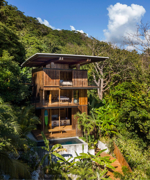 tom kundig construye la casa del árbol de los surfistas con madera de teca local en costa rica