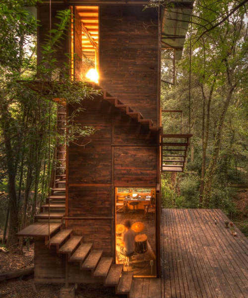 la casa del árbol flotante de talleresque ilumina el bosque circundante en méxico