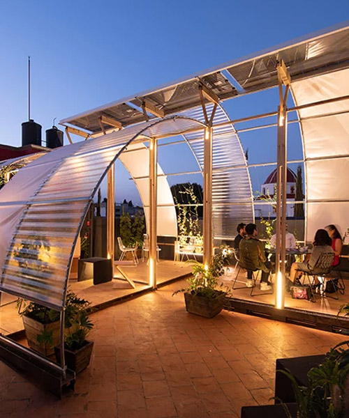 HDA + taller paralelo transforman azotea en un jardín contemporáneo en méxico