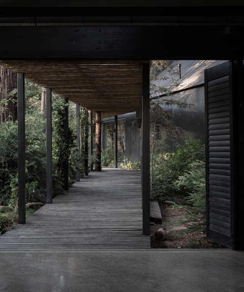 OF arquitectos sumerge los pabellones de la casa mallarauco dentro del bosque chileno