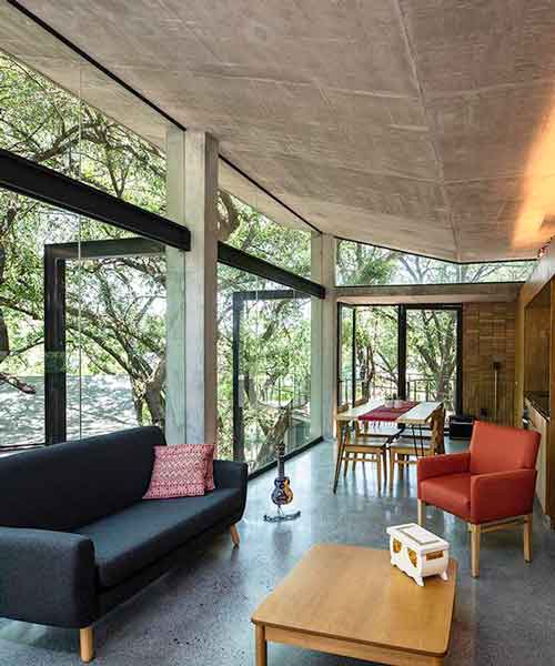 WEYES estudio construye una casa familiar en las copas de los árboles de un bosque mexicano