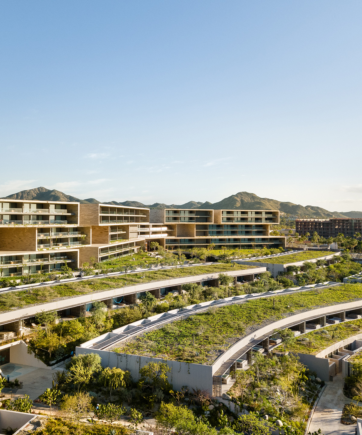 Sordo Madaleno Arquitectos diseña zigzagueante hotel Solaz en Los Cabos, México
