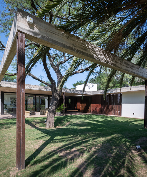 Casa PLC de AR arquitectos integra árboles patrimoniales en el sitio dentro de un marco delgado