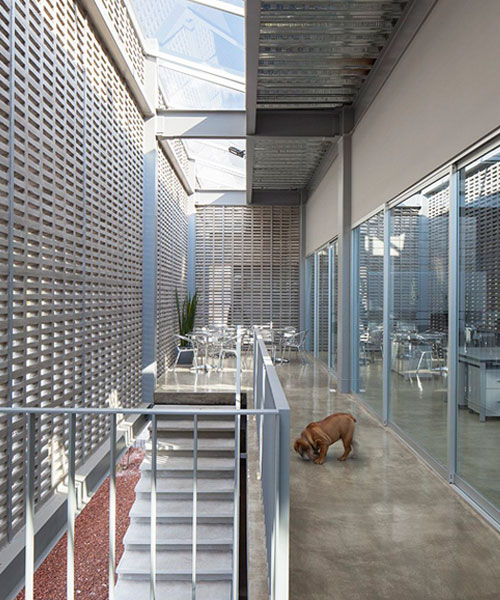 una celosía de concreto reviste una oficina modular en méxico diseñada por morari arquitectura + JAA