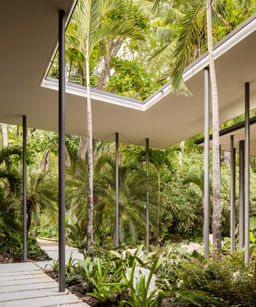 VIDA diseña paisaje de 'Sirena House' de Studio Saxe para mezclar la vida de jungla con un sitio costero en Costa Rica