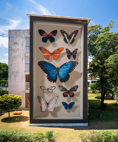 los murales de mantra transforman los edificios en vitrinas de mariposas más grandes que la vida