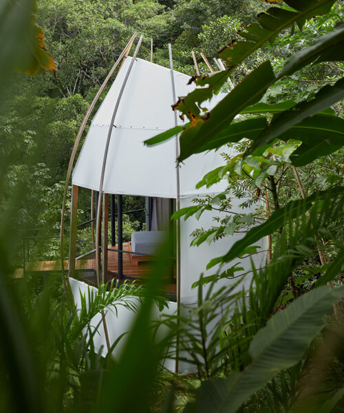art villas resort se amplía con 'coco' unas cabañas tipo nido en la ladera de la selva de costa rica