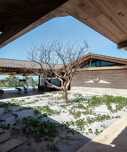 dellekamp arquitectos enmarca vistas de la accidentada costa mexicana con cabo house