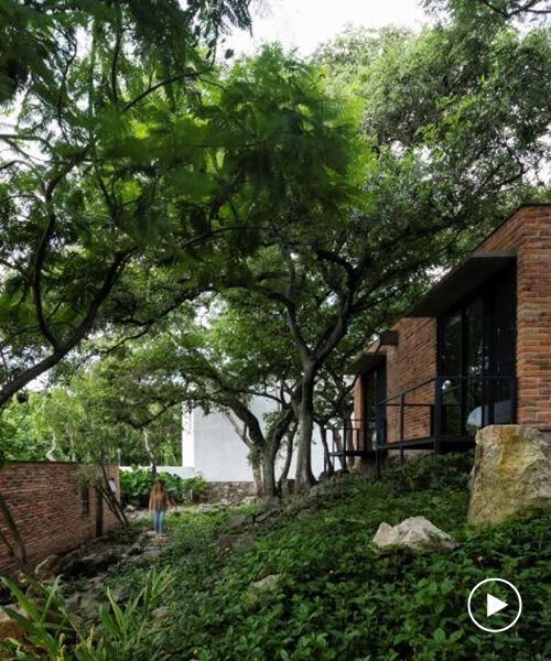 la casa de c3 arquitectos en México emerge como un grupo de masas dispersas entre la vegetación