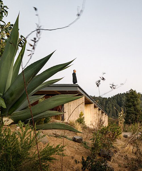 manuel cervantes estudio construye residencia mexicana como mirador semienterrado