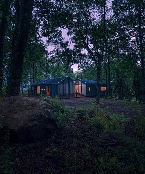 Triangular presenta su casa en el bosque cubierta de acero corrugado en Patagonia