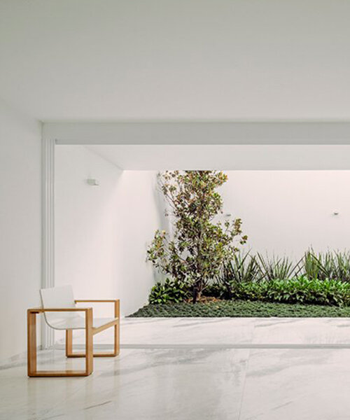 patios recortados agregan toques verdes en casa la piedad de cota paredes arquitectos en México