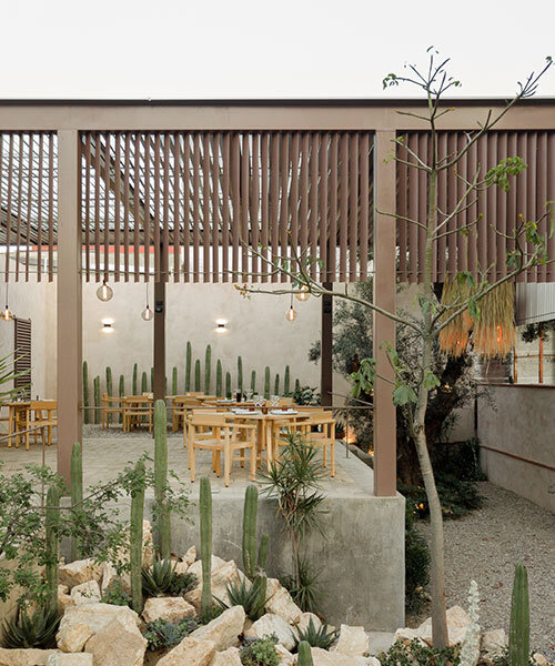 espacio 18 convierte fábrica de pintura en un restaurante infundido con cactus en méxico