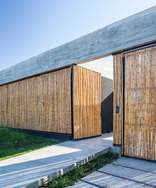 estudio PKa flanquea esta casa de buenos aires con un muro cortina de bambú