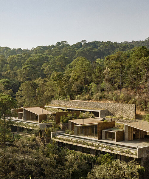 anidadas sobre colinas escarpadas, estas casas gemelas en méxico se fusionan con su contexto forestal