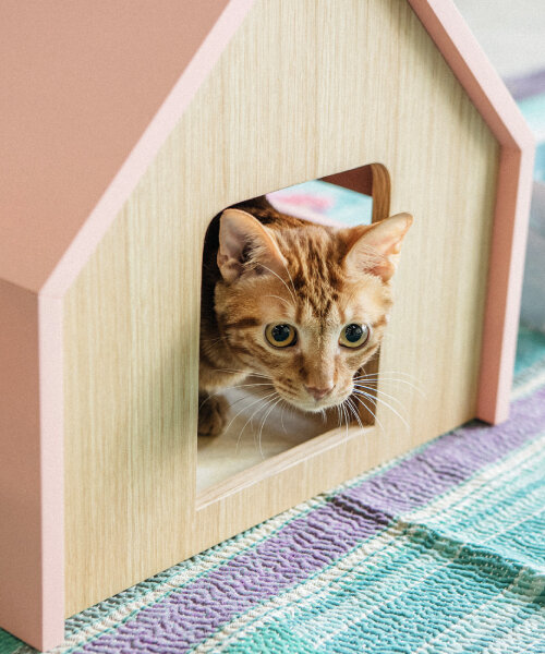 mini-casas y camas para gatos que ayudan a que duerman bien y a la relajación