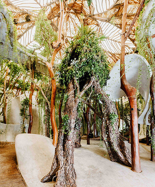 la escultura botánica monumental de azuma makoto 'MEXX' surge de la exuberante selva mexicana