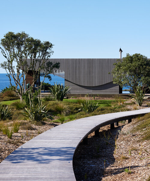herbst architects anida esta casa suavemente curvada en las dunas de nueva zelanda