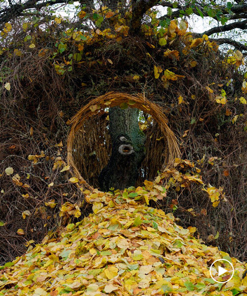 las hojas se dispersan alrededor del nido de un árbol para la tercera temporada de la serie de arte de UMA + antti laitinen