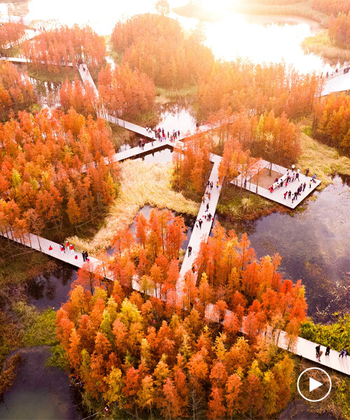 turenscape transforma un vertedero en un parque flotante adaptado a las inundaciones en china