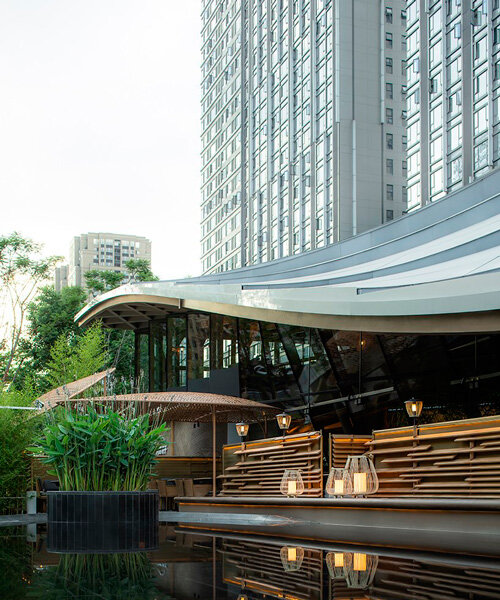 techos curvos y orgánicos flotan sobre restaurante de BEHIVE en china