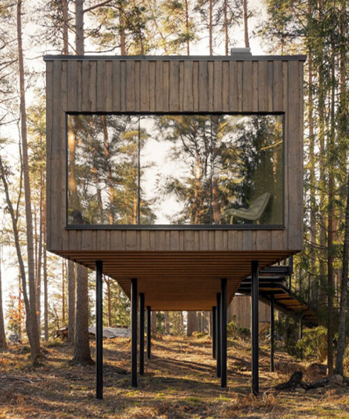 suspendidas entre las copas de los árboles, estas cabañas de madera sumergen a los huéspedes en los pinares suecos