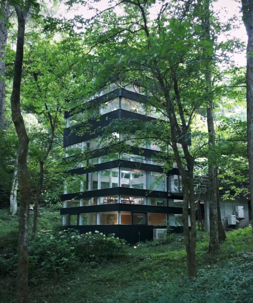 la casa de cristal escondida en el bosque japonés ve 360 grados a través de ventanas panorámicas