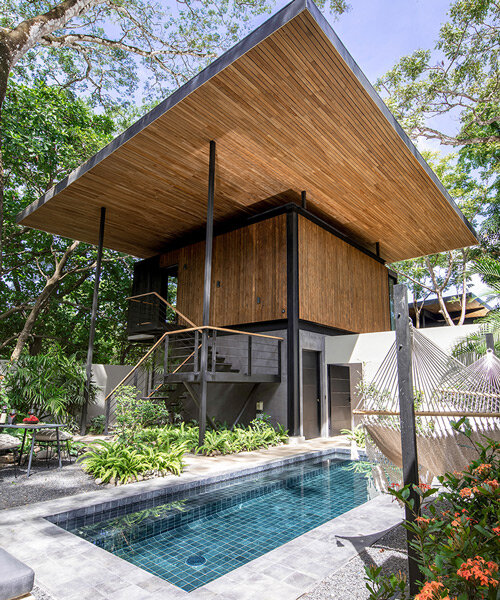 iluminada por el sol, 'raintree house' por studio saxe es un oasis contemporáneo en costa rica