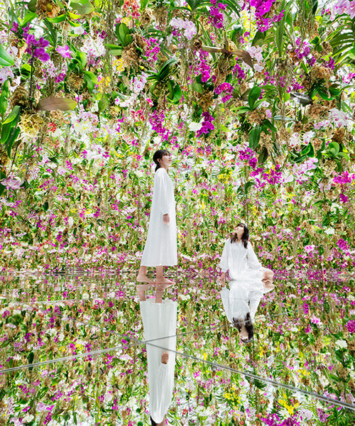 teamLab expande su museo digital en tokio con un jardín inmersivo de orquídeas flotantes