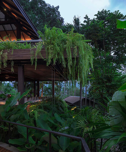 la selva tropical envuelve con densas ramas de árboles el renovado complejo turístico 'the spa resorts' en tailandia