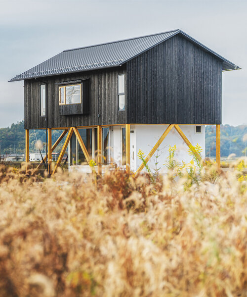 ushijima architects diseña una casa japonesa para que 'flote como un barco a medida que cambia su entorno'