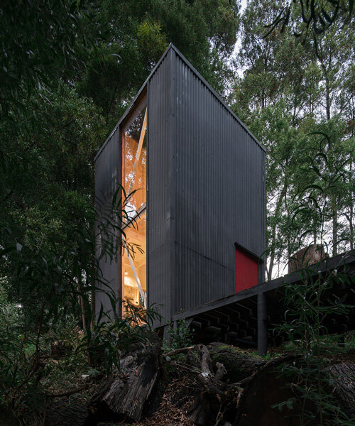 estudio diagonal diseña '3x3 retreat', un refugio sostenible en la selva tropical de chile