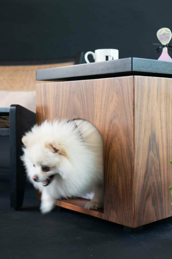 happy nest design: un proyecto de mobiliario que incorpora la comodidad de las mascotas