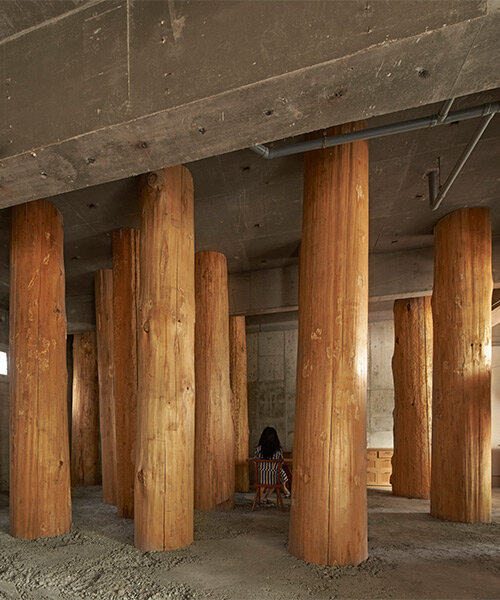 grandes troncos atraviesan la tranquila oficina-bosque de tomoaki uno en japón