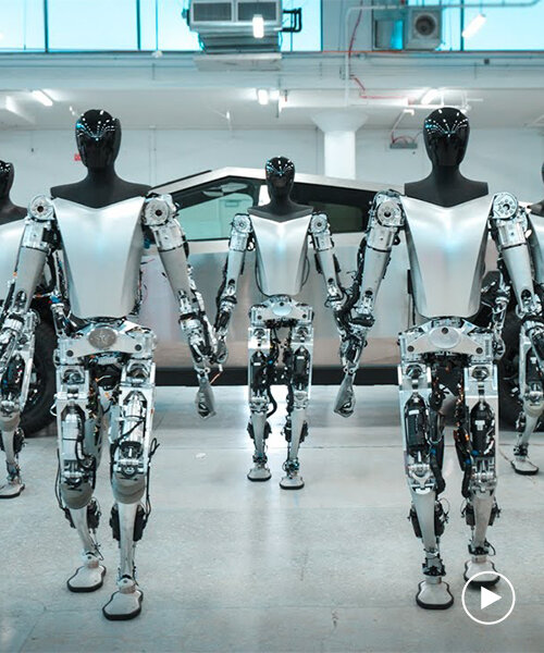 update del tesla bot: el robot humanoide camina y recoge cosas sin ayuda