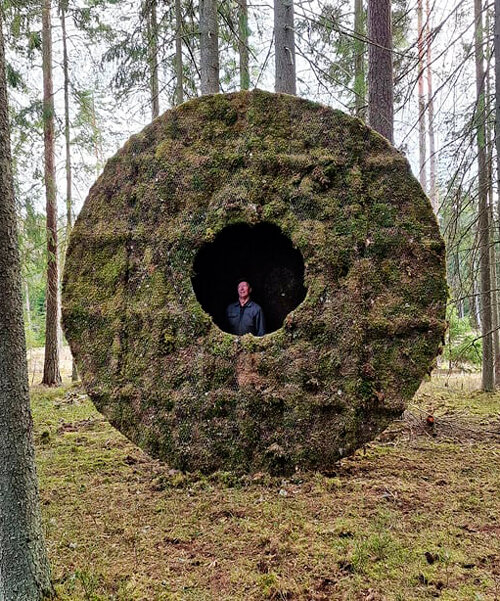 UMA crea un disco cubierto de musgo que alimenta a los jabalíes en un bosque sueco