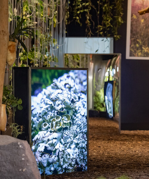 arte abierto se transforma en un jardín sensorial con modthern nature de gabriela galván