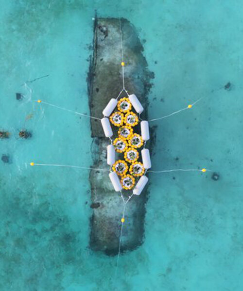 el laboratorio de autoensamblaje del MIT utiliza energía marina para desarrollar islas