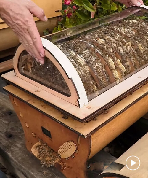 esta colmena transparente y redonda permite ver a las abejas y recolectar la miel sin molestarlas