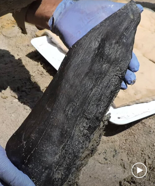 arqueólogos descubren la estructura de madera más antigua del mundo en zambia