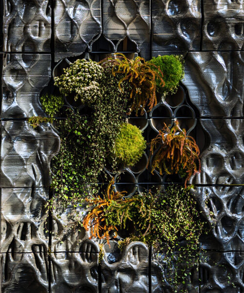 'biomimic wall' fusiona impresión de cerámica en 3D y diseño ecológico para crear una fachada vegetal autorregulada