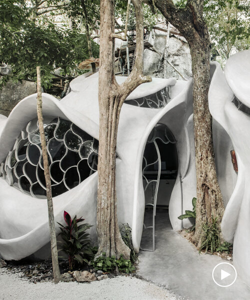 roth architecture anida su laboratorio de tecnología e innovación en la selva mexicana