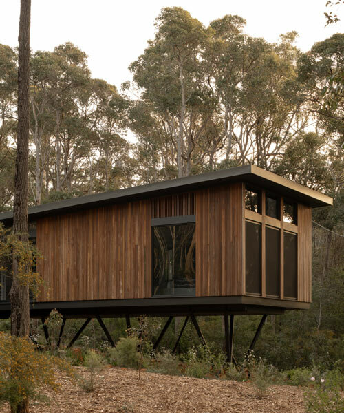 la casa 'treehouse' de madera de suzanne hunt flota en el bosque australiano
