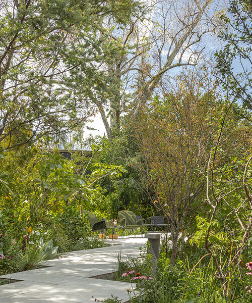 fernanda rionda transforma el jardín de design house 2023 con más de 9,000 plantas y árboles