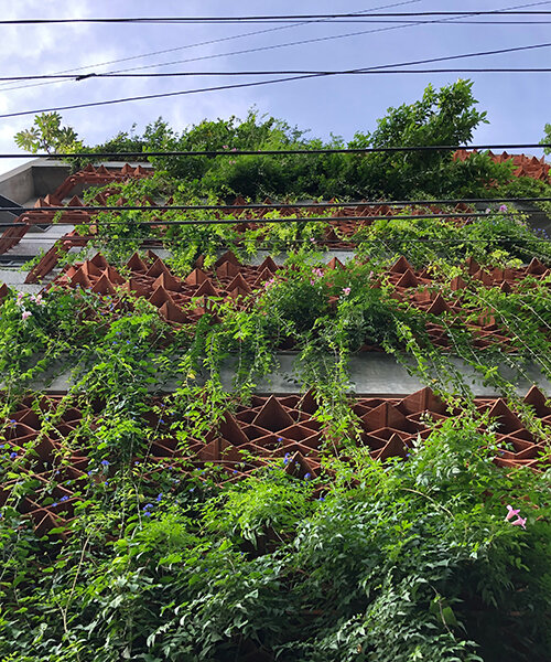 las pantallas de azulejos de terracota visten de verde la fachada de una vivienda en la india