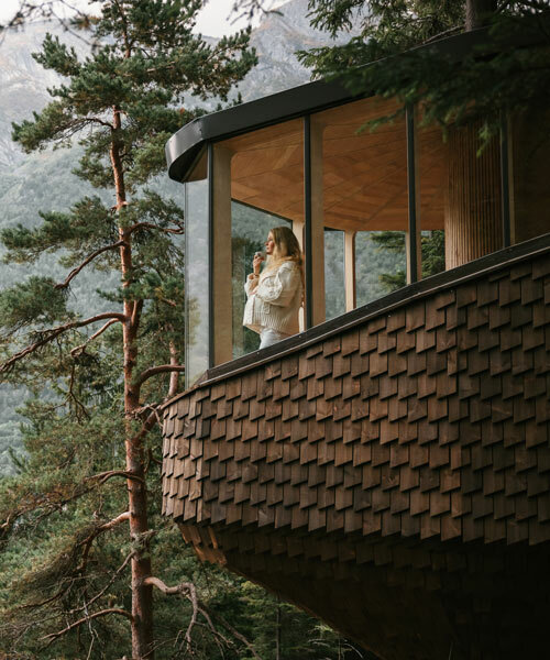 las nuevas casas del árbol 'woodnest' se suspenden entre los bosques de odda, noruega