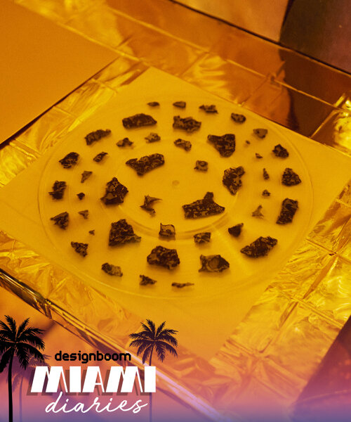 semana del arte de miami: disco de vinilo con rocas espaciales incrustadas en alcova