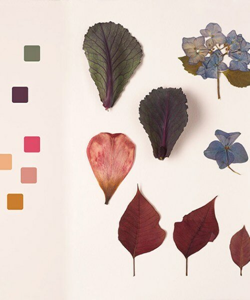 'chromatic herbarium' reúne una vibrante colección de tonos de la naturaleza