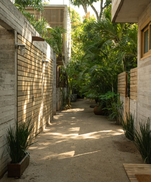 cuatro bungalows de concreto conforman la selvática 'casa MACU' de chris luce